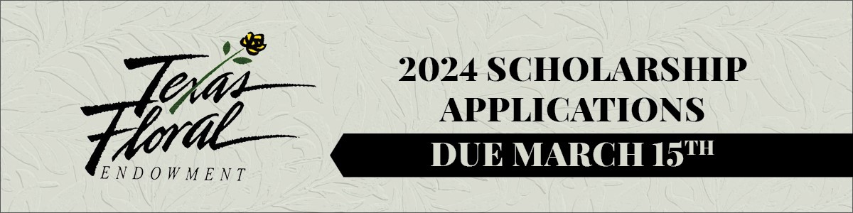 Scholarship-Banner-2024.jpg